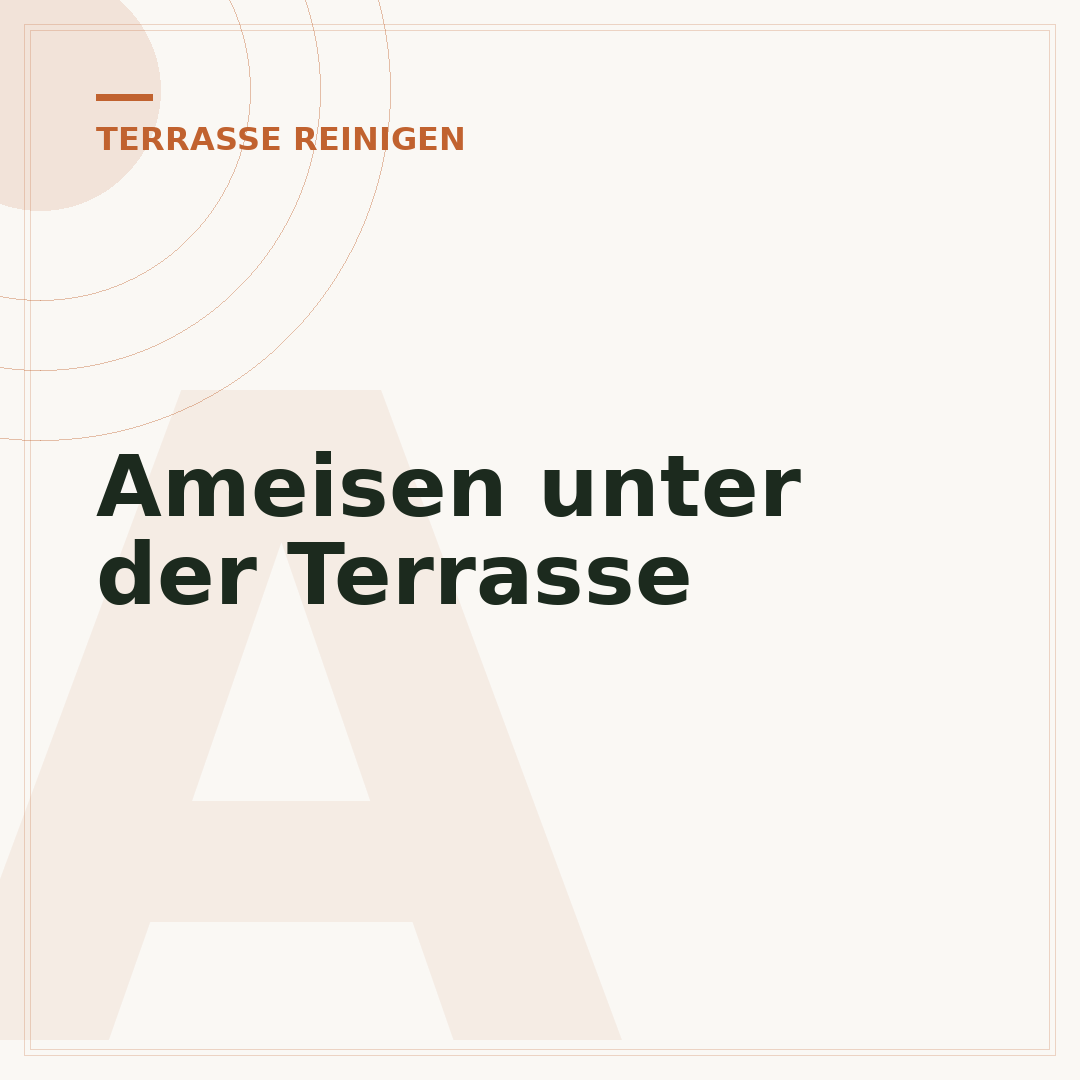Ameisen unter der Terrasse