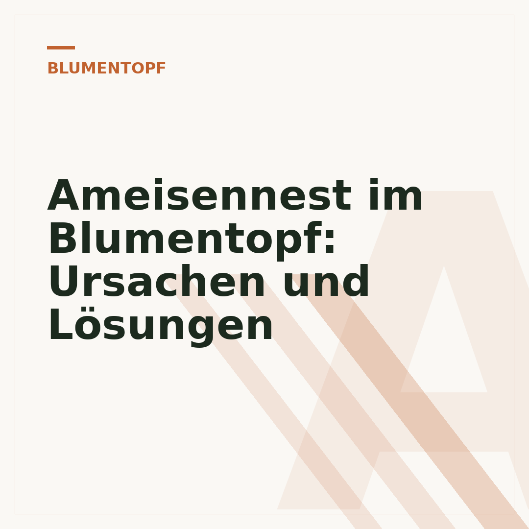 Ameisennest im Blumentopf: Ursachen und Lösungen