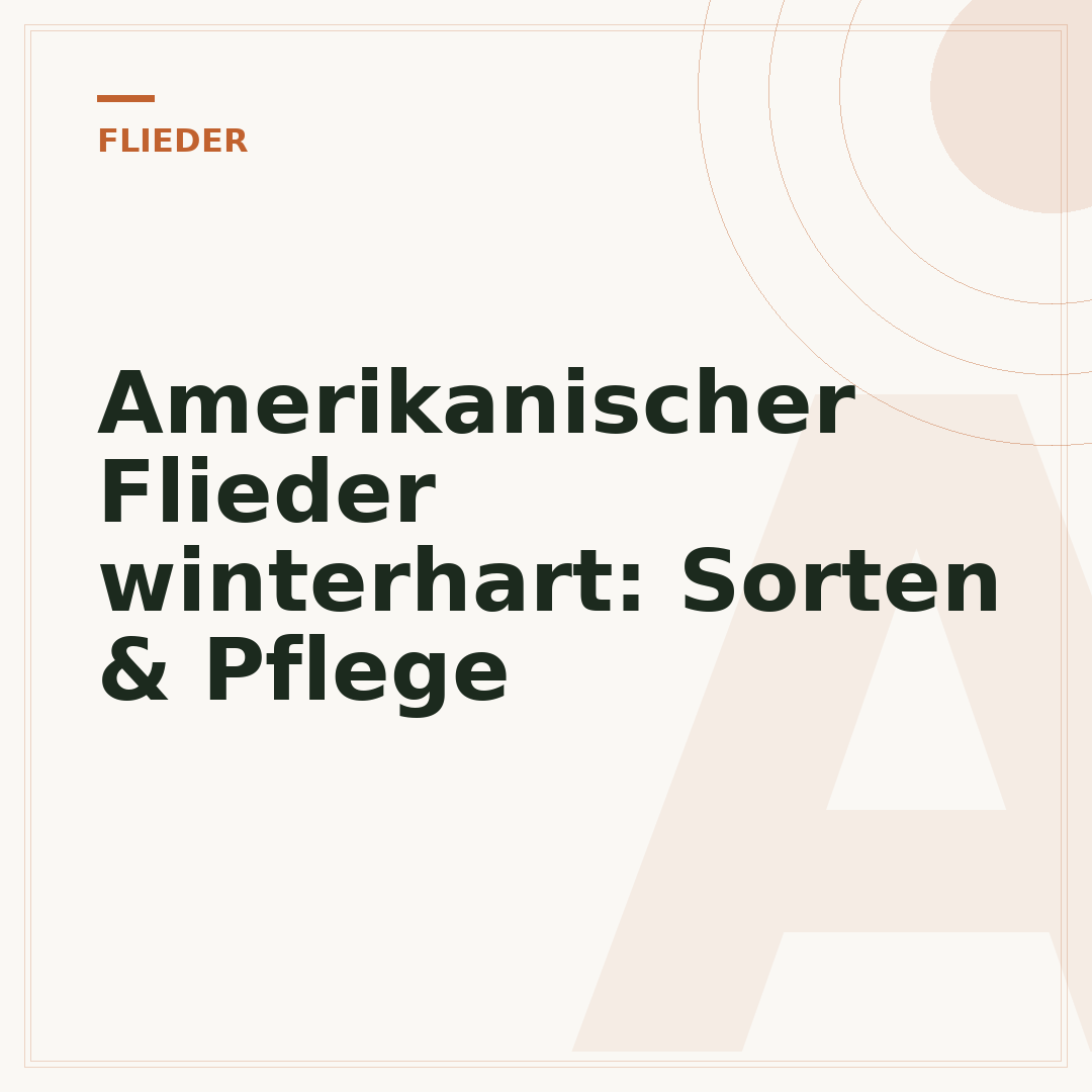 Amerikanischer Flieder winterhart: Sorten & Pflege