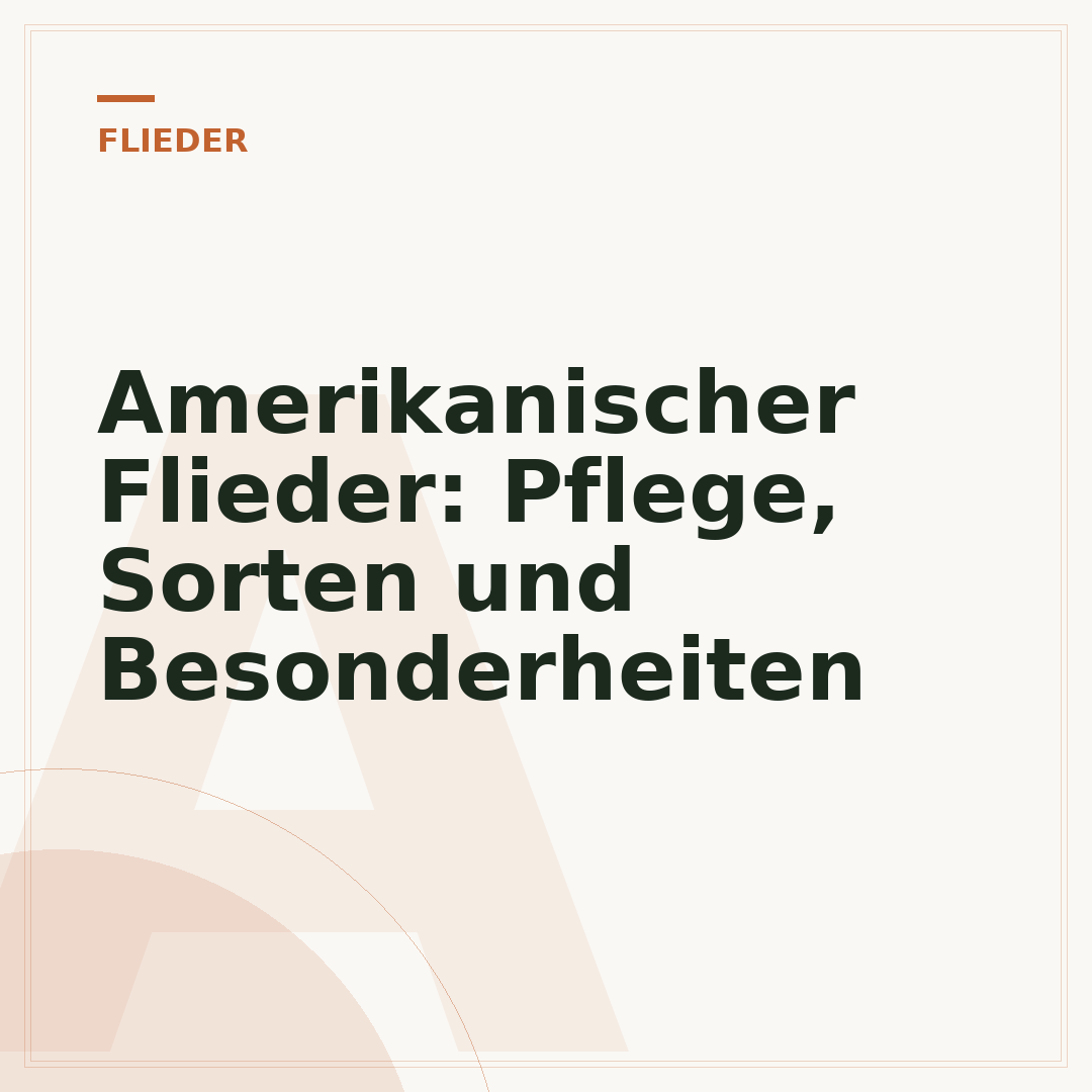 Amerikanischer Flieder: Pflege, Sorten und Besonderheiten