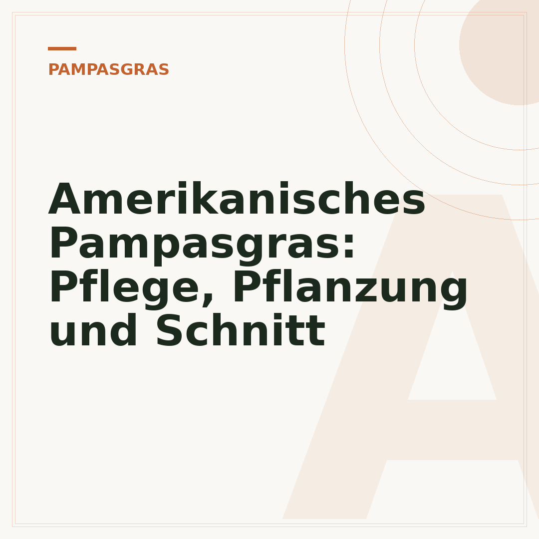 Amerikanisches Pampasgras: Pflege, Pflanzung und Schnitt