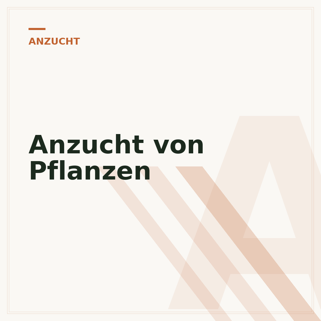 Anzucht von Pflanzen