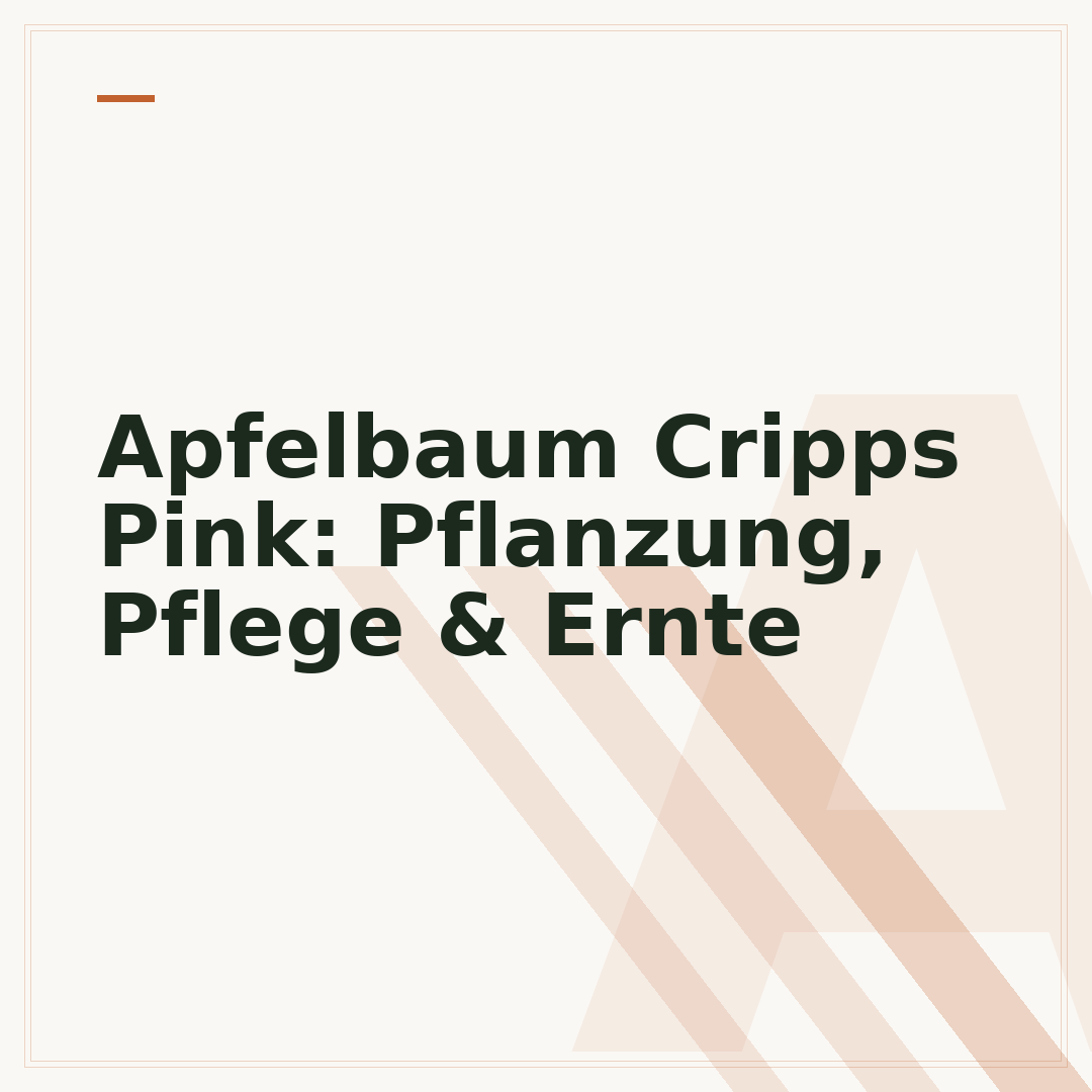 Apfelbaum Cripps Pink: Pflanzung, Pflege & Ernte