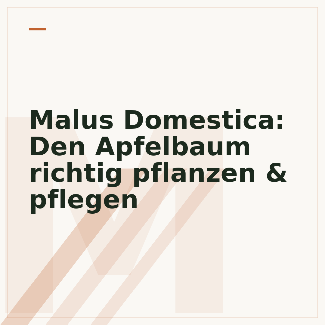 Malus Domestica: Den Apfelbaum richtig pflanzen & pflegen