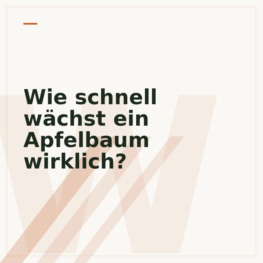 Wie schnell wächst ein Apfelbaum wirklich?