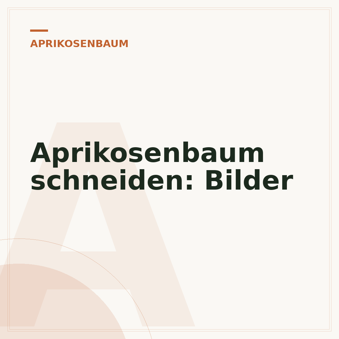 Aprikosenbaum schneiden: Bilder