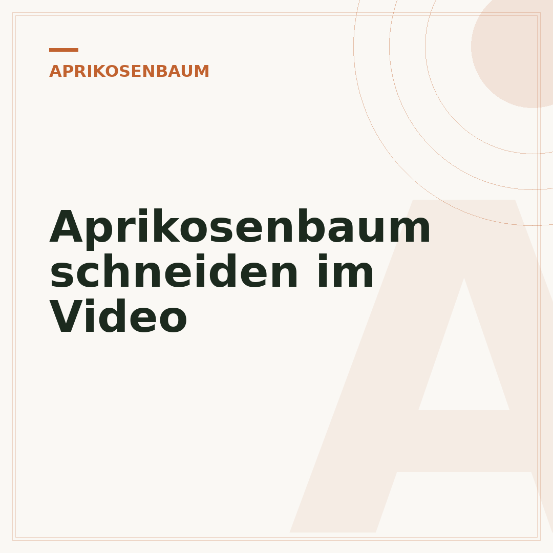 Aprikosenbaum schneiden im Video