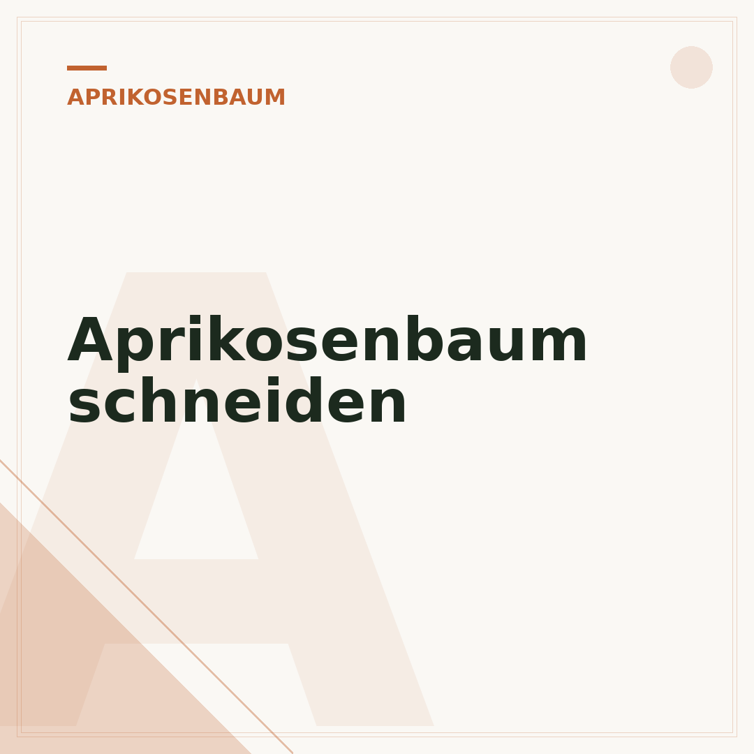 Aprikosenbaum schneiden