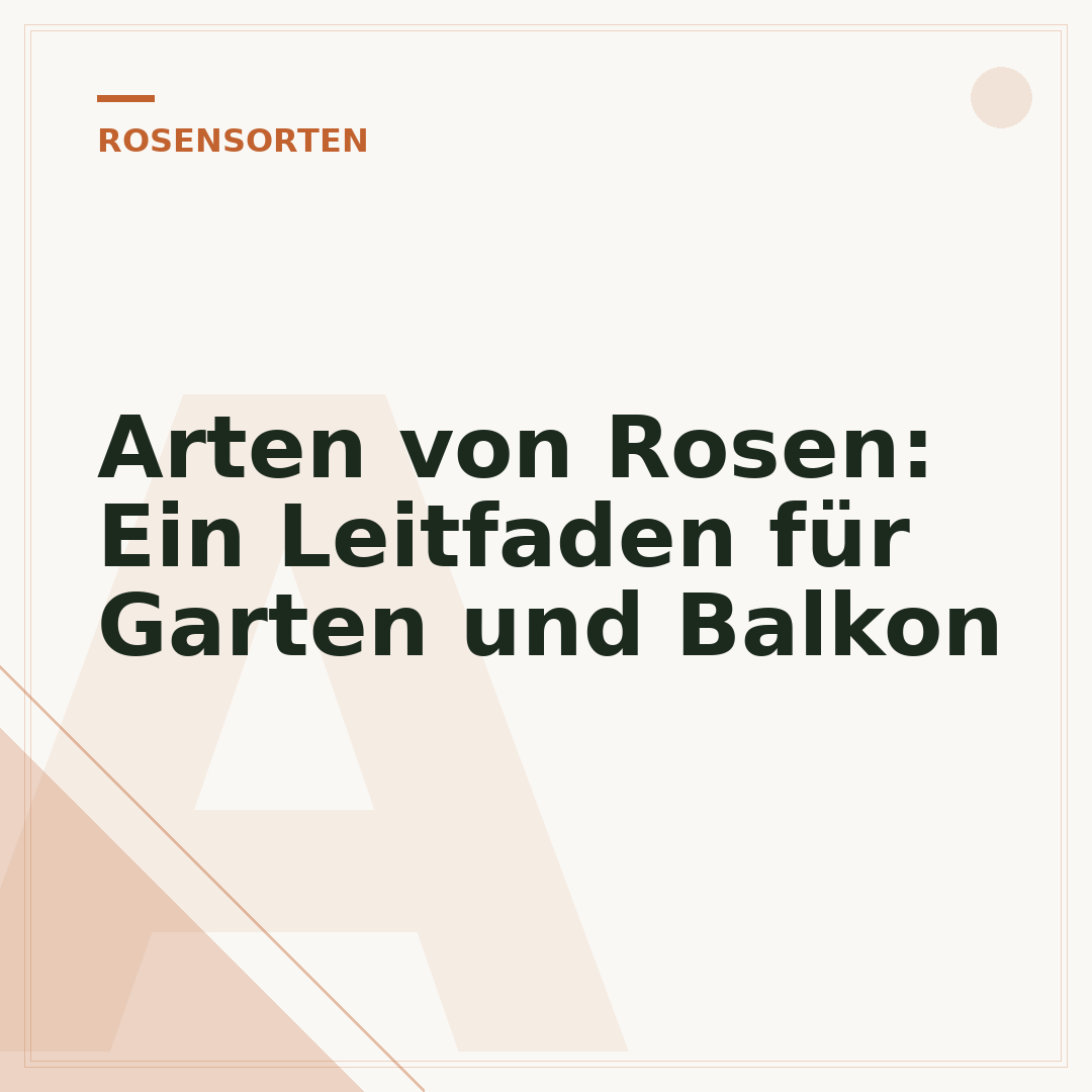 Arten von Rosen: Ein Leitfaden für Garten und Balkon