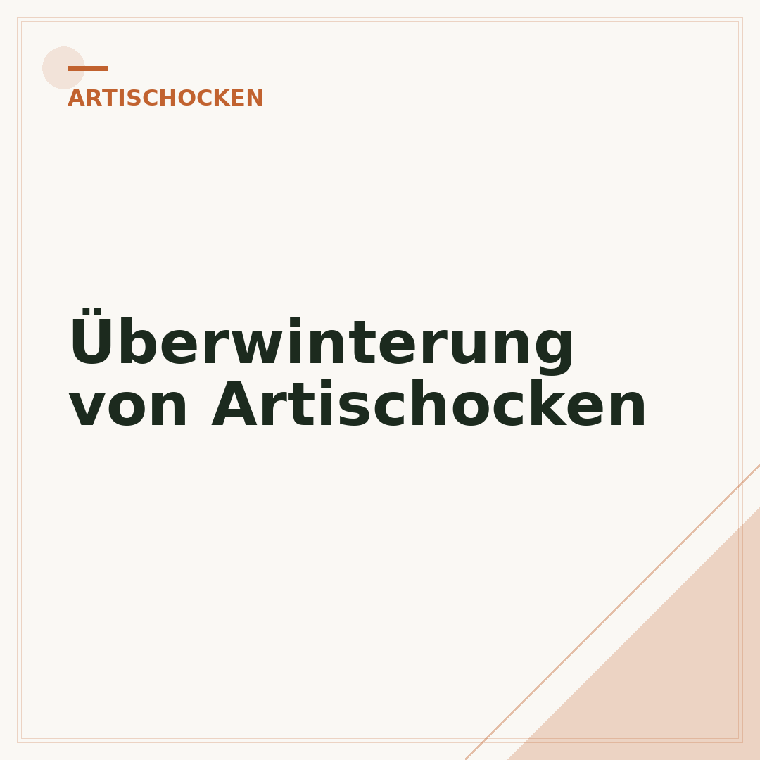 Überwinterung von Artischocken