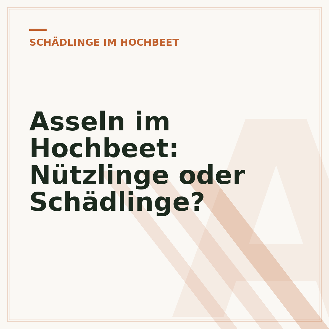 Asseln im Hochbeet: Nützlinge oder Schädlinge?