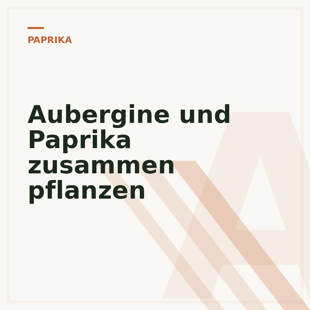 Aubergine und Paprika zusammen pflanzen