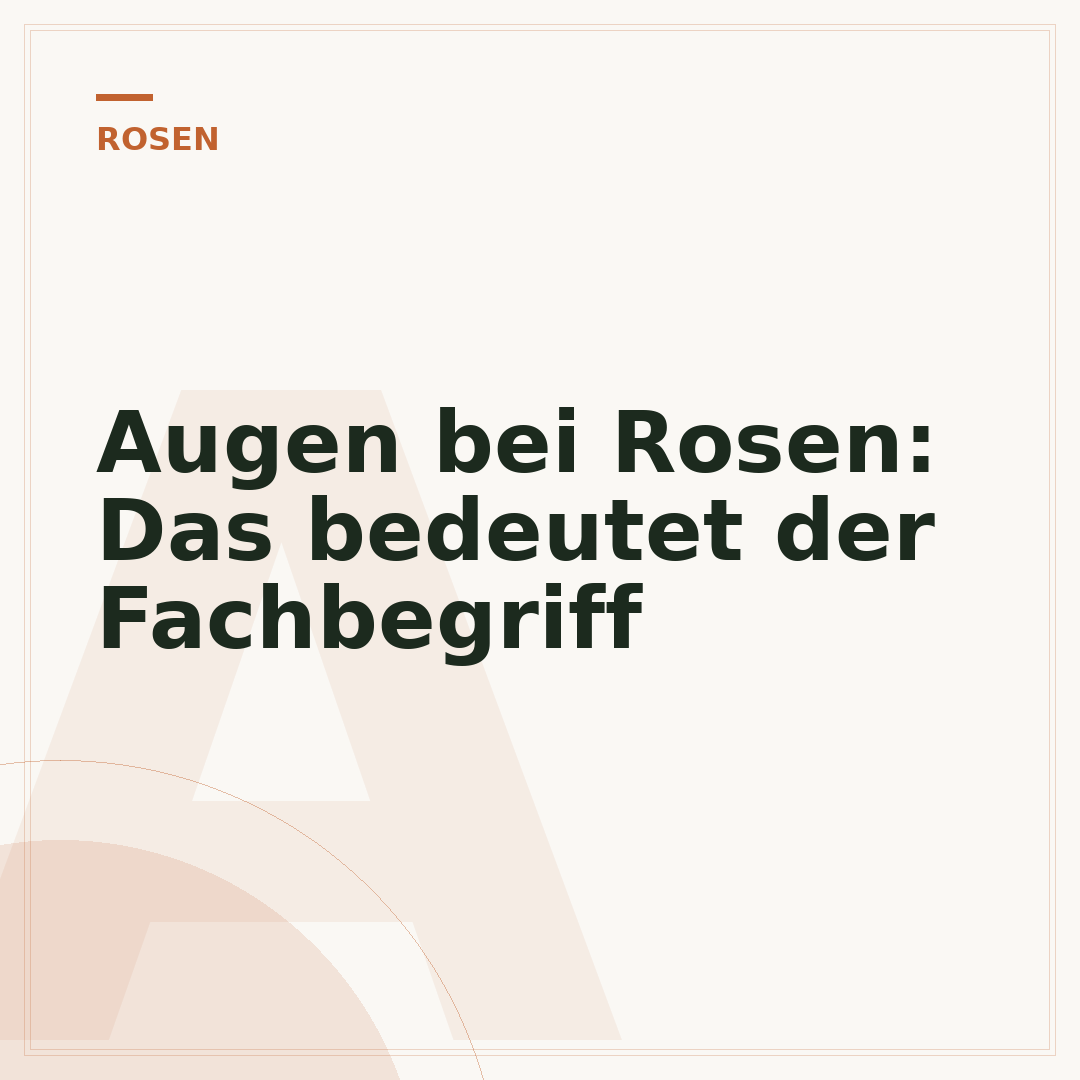 Augen bei Rosen: Das bedeutet der Fachbegriff