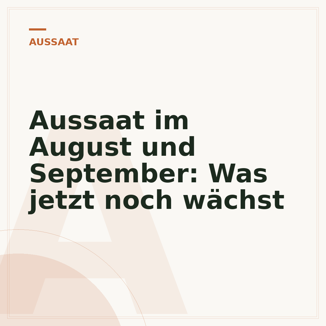 Aussaat im August und September: Was jetzt noch wächst