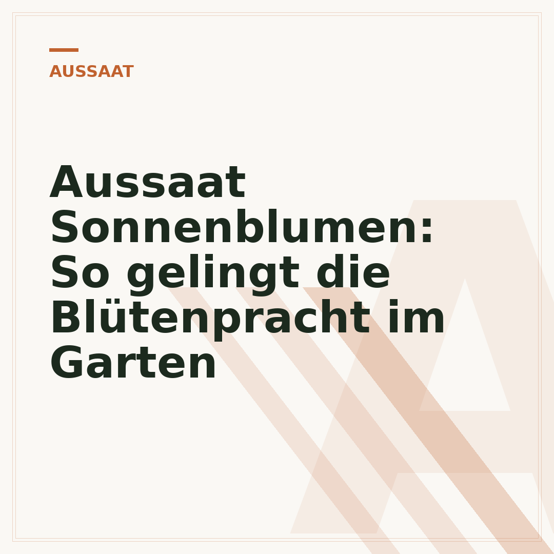 Aussaat Sonnenblumen: So gelingt die Blütenpracht im Garten