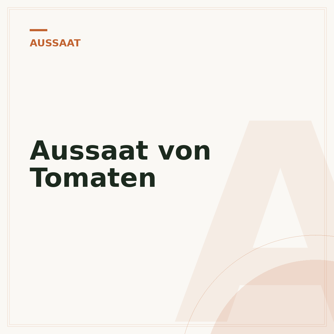 Aussaat von Tomaten