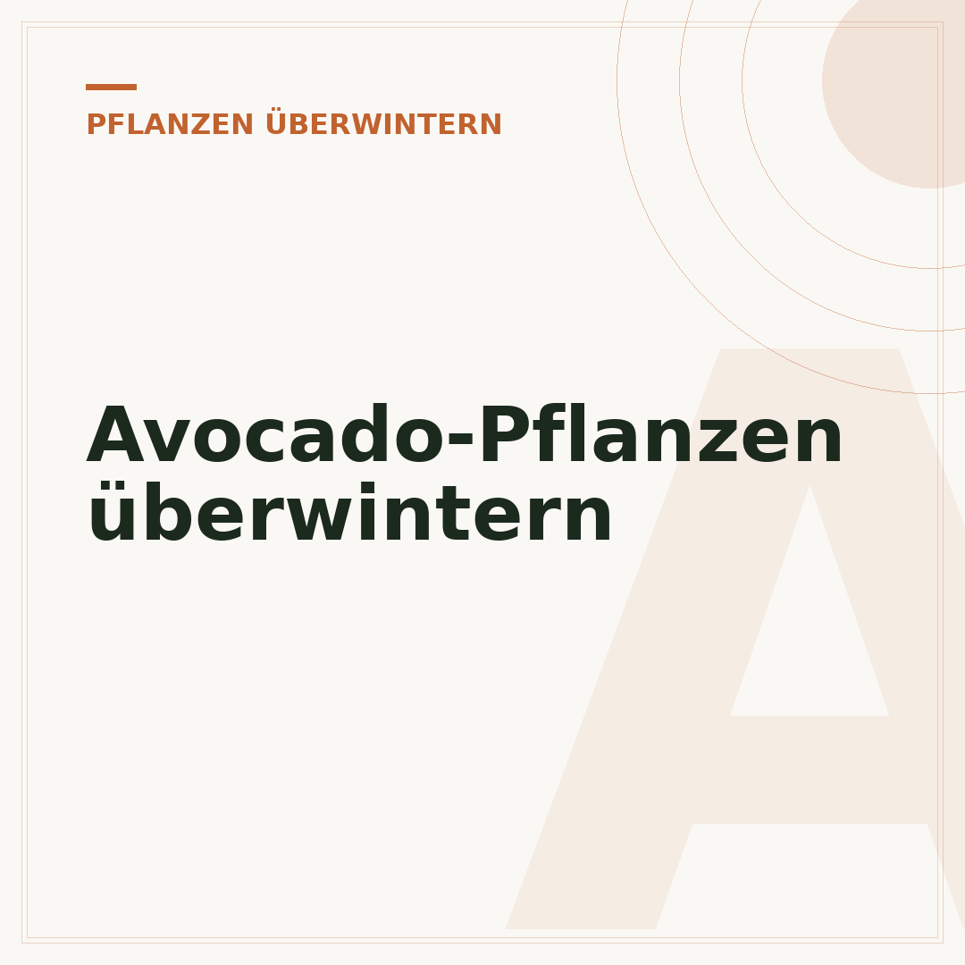 Avocado-Pflanzen überwintern