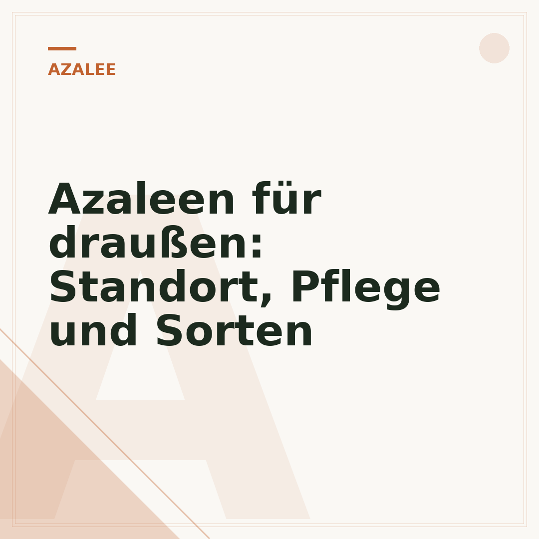Azaleen für draußen: Standort, Pflege und Sorten