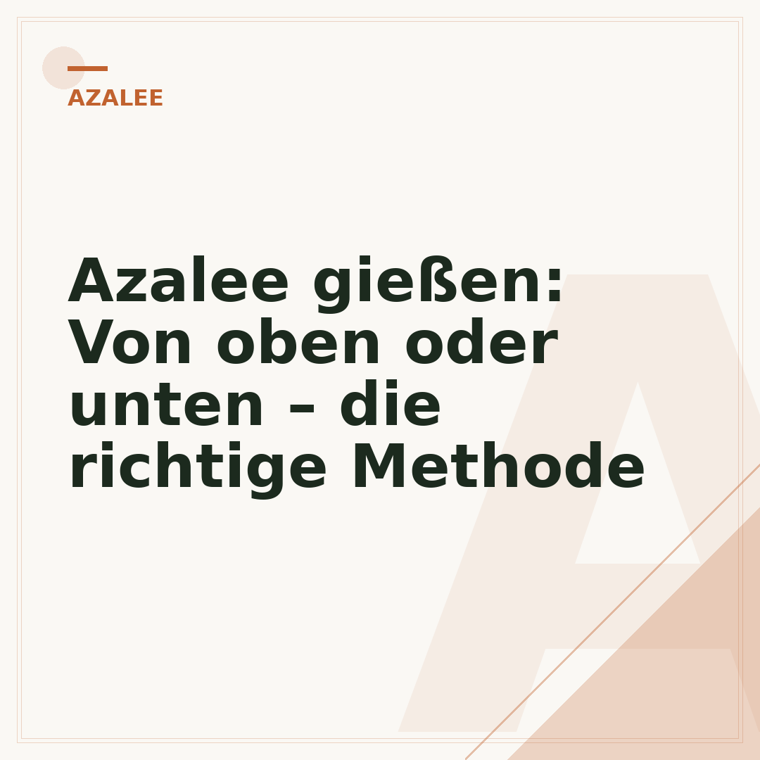 Azalee gießen: Von oben oder unten – die richtige Methode