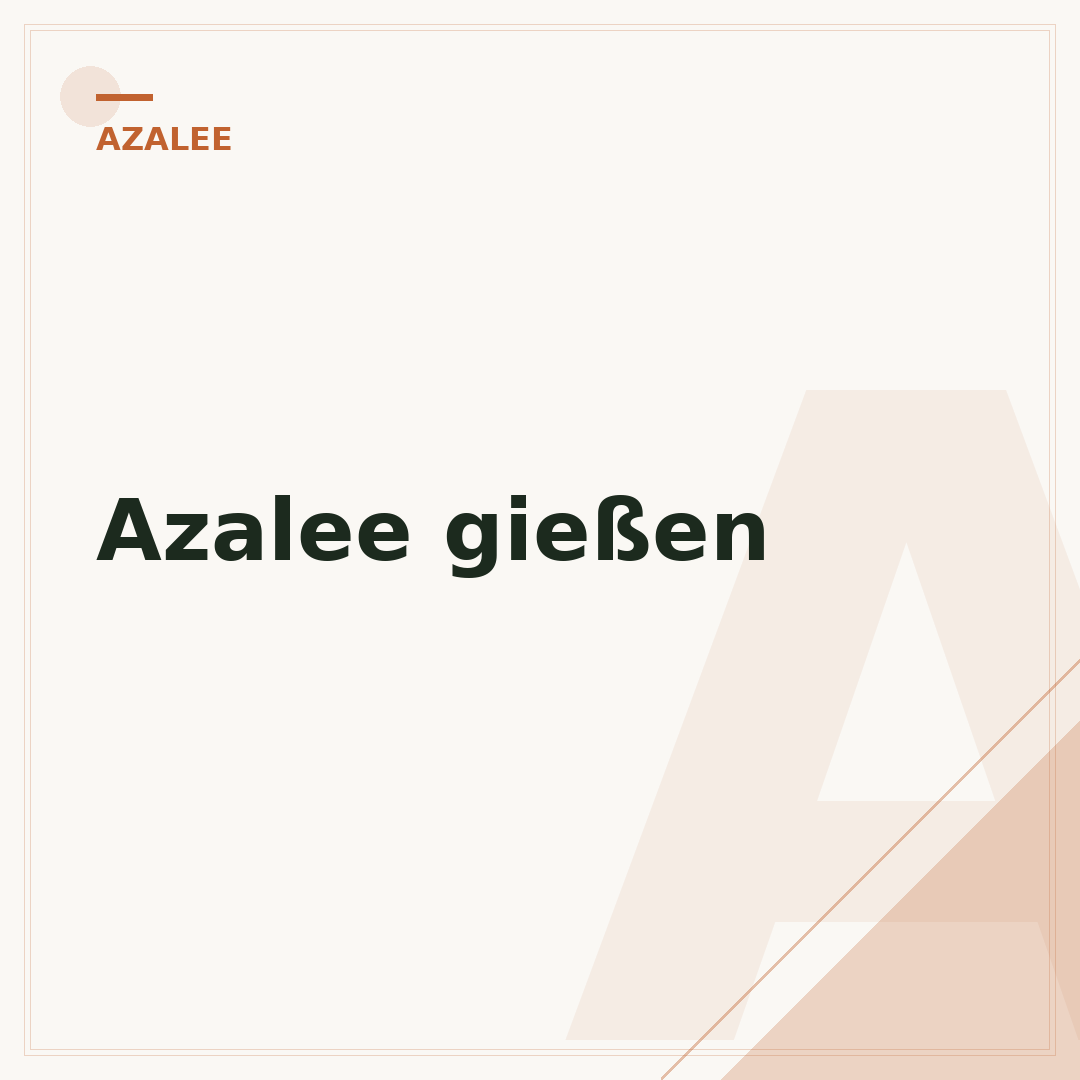 Azalee gießen