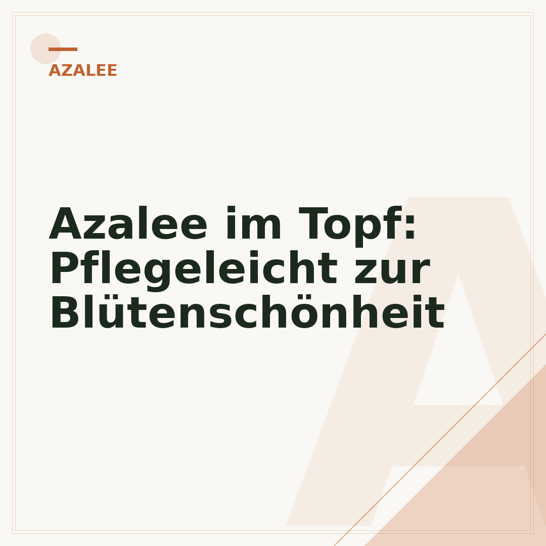 Azalee im Topf: Pflegeleicht zur Blütenschönheit