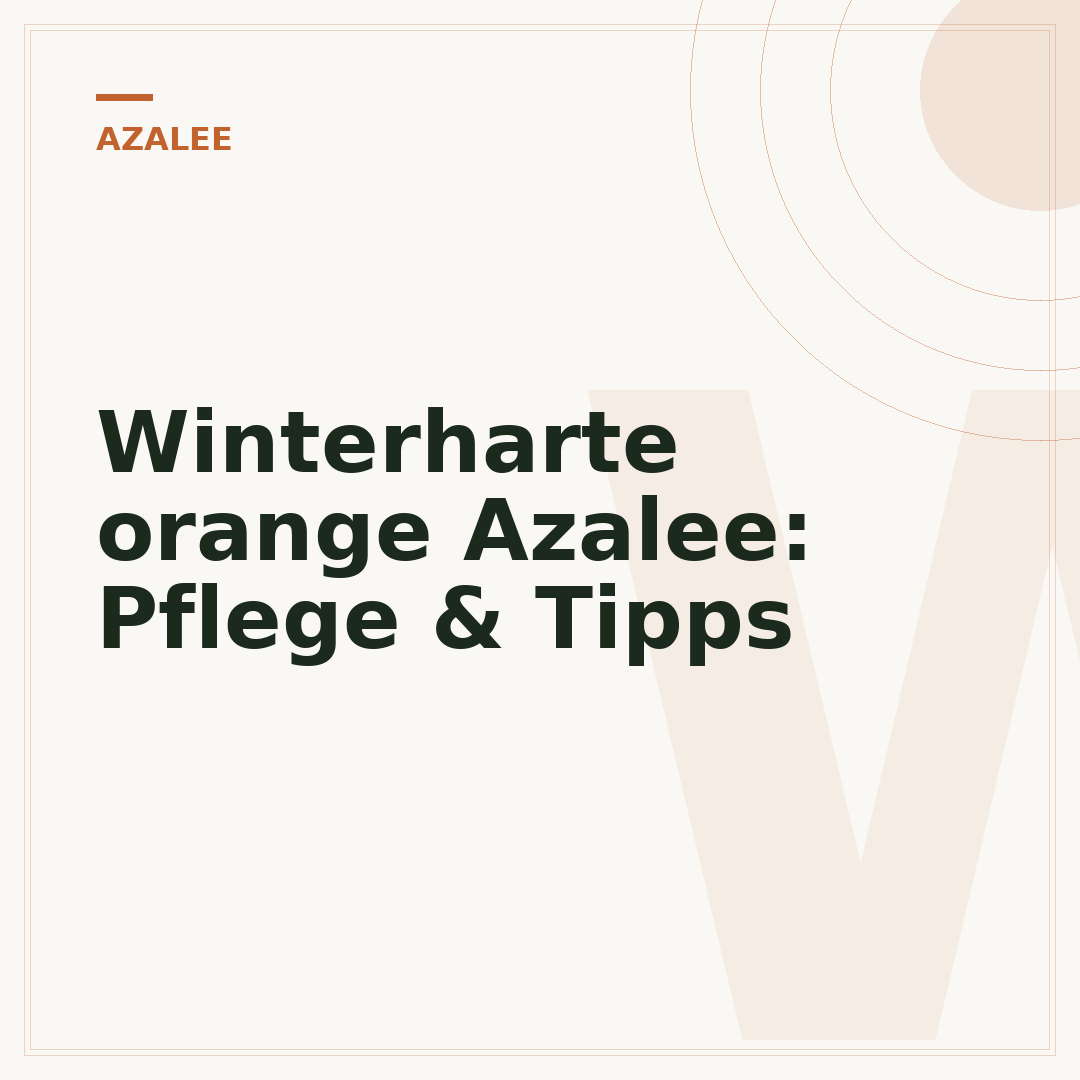 Winterharte orange Azalee: Pflege & Tipps