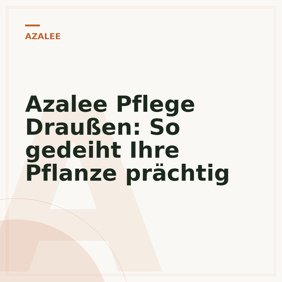 Azalee Pflege Draußen: So gedeiht Ihre Pflanze prächtig
