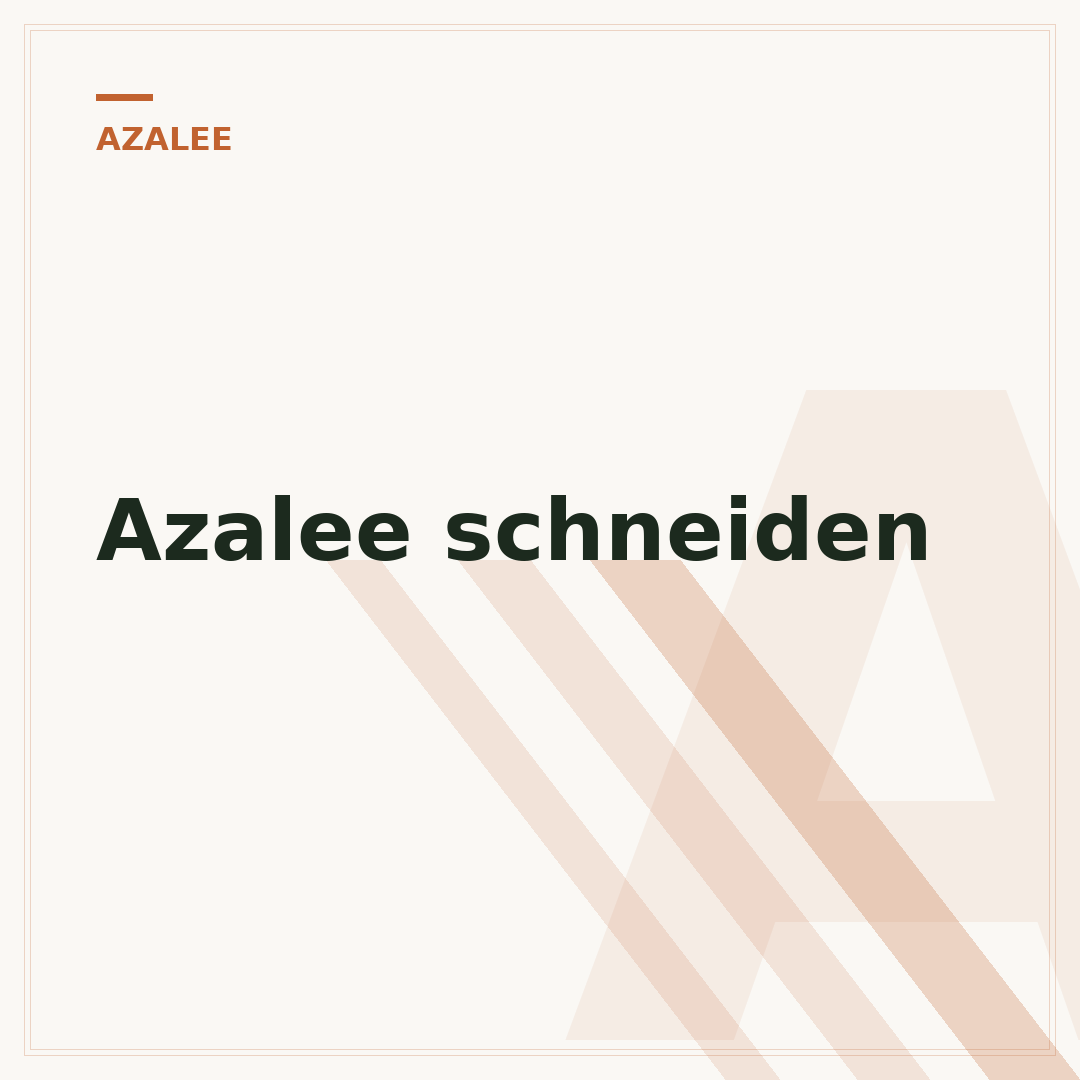 Azalee schneiden