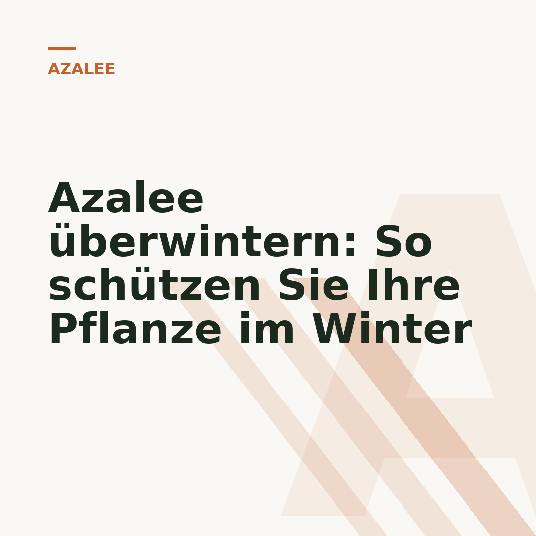 Azalee überwintern: So schützen Sie Ihre Pflanze im Winter