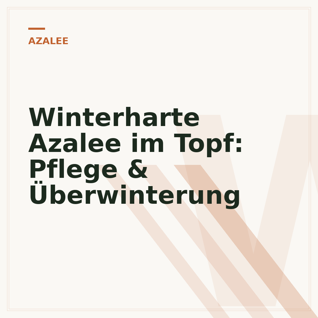 Winterharte Azalee im Topf: Pflege & Überwinterung