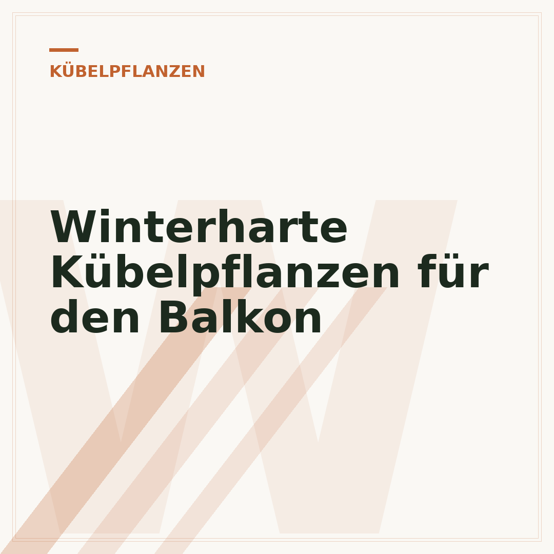 Winterharte Kübelpflanzen für den Balkon