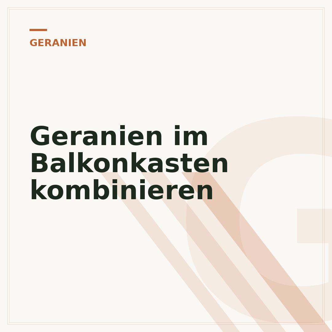 Geranien im Balkonkasten kombinieren