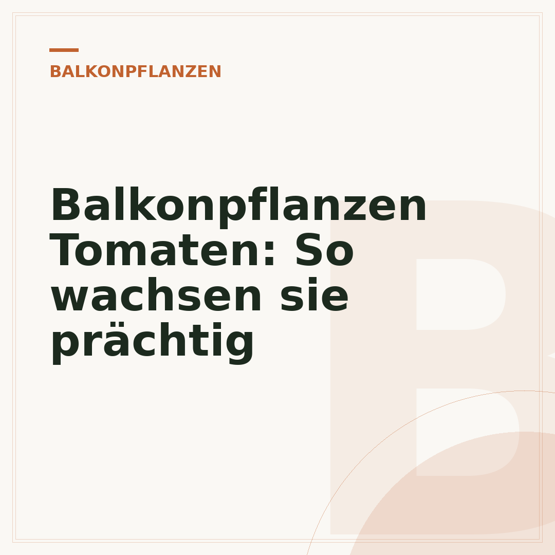 Balkonpflanzen Tomaten: So wachsen sie prächtig