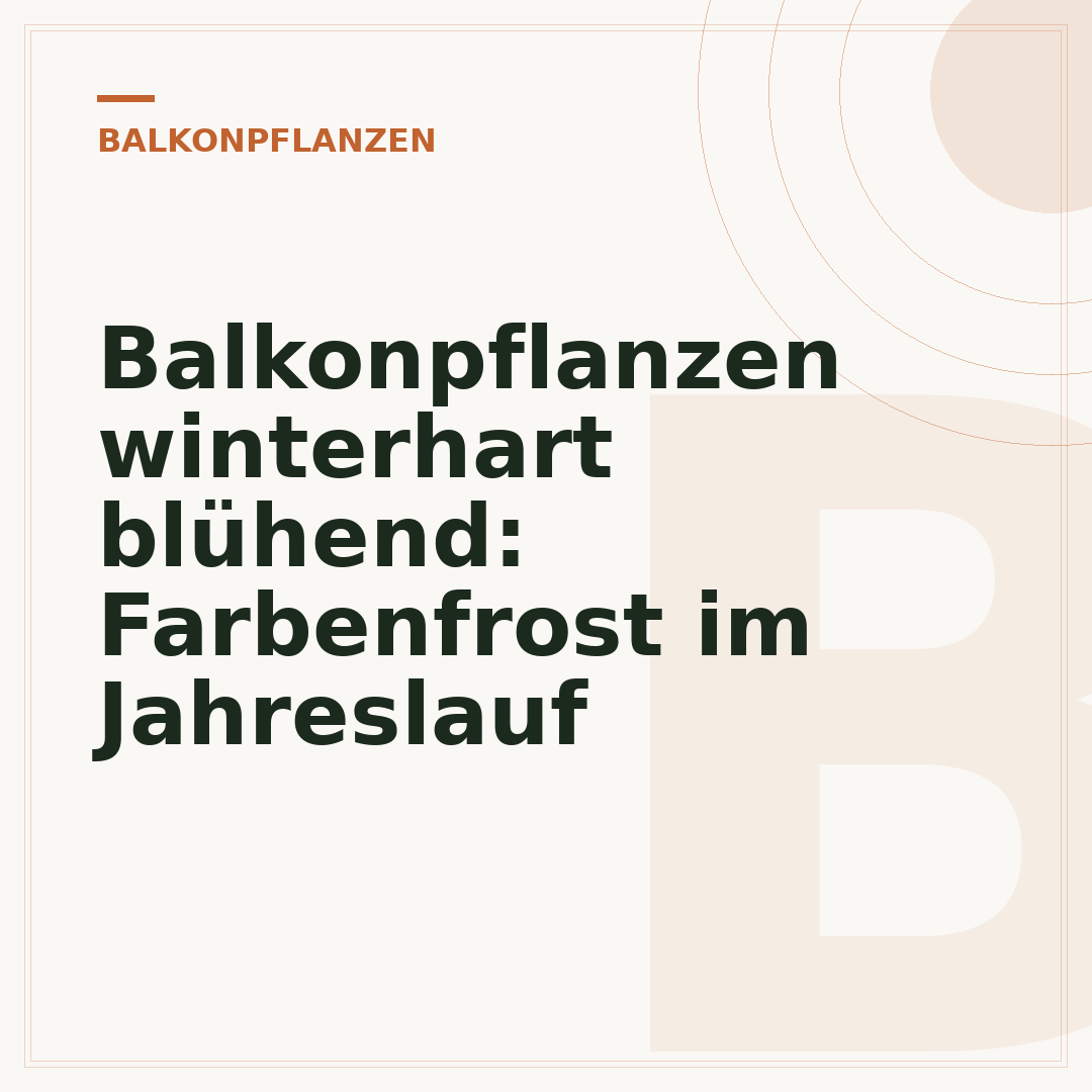 Balkonpflanzen winterhart blühend: Farbenfrost im Jahreslauf