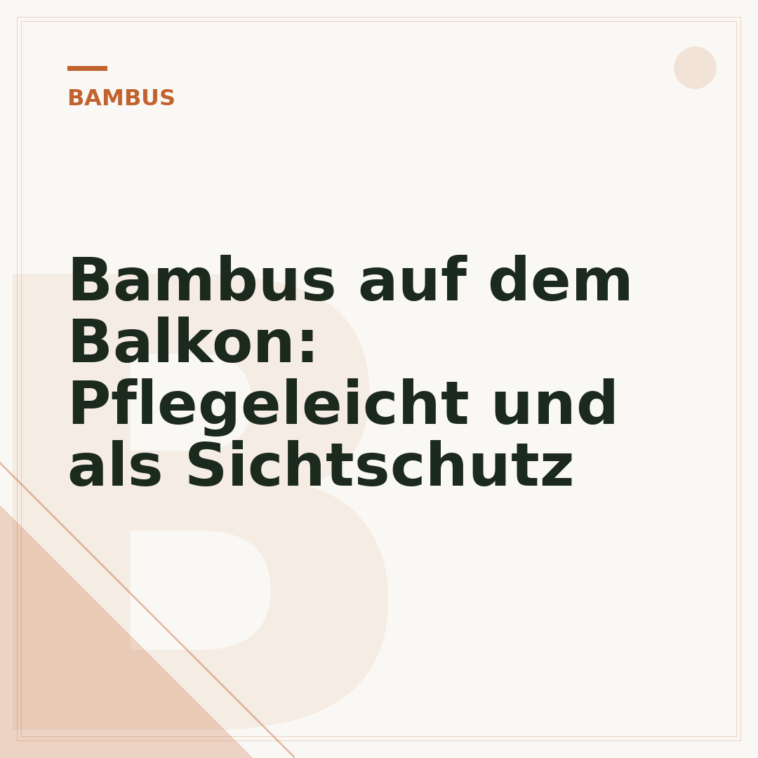 Bambus auf dem Balkon: Pflegeleicht und als Sichtschutz