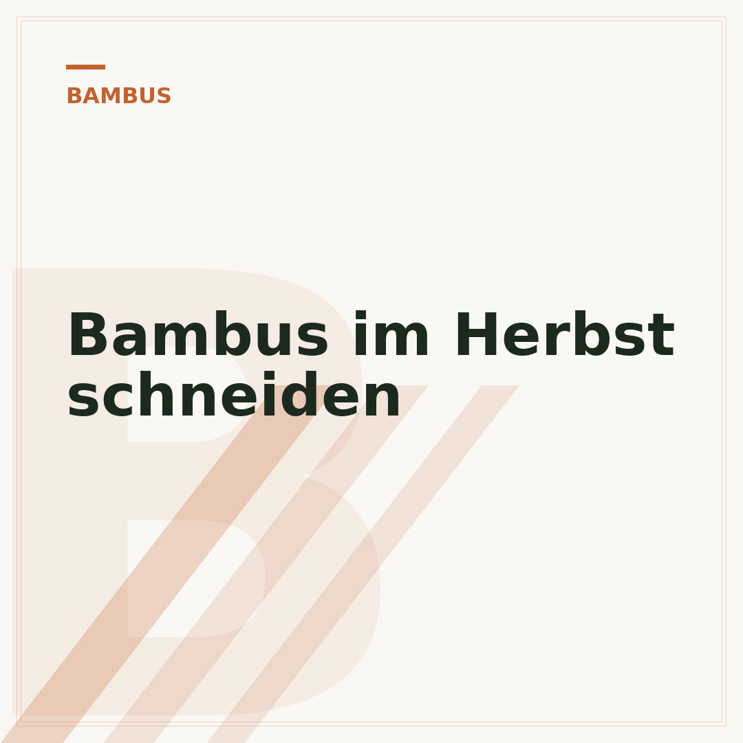 Bambus im Herbst schneiden