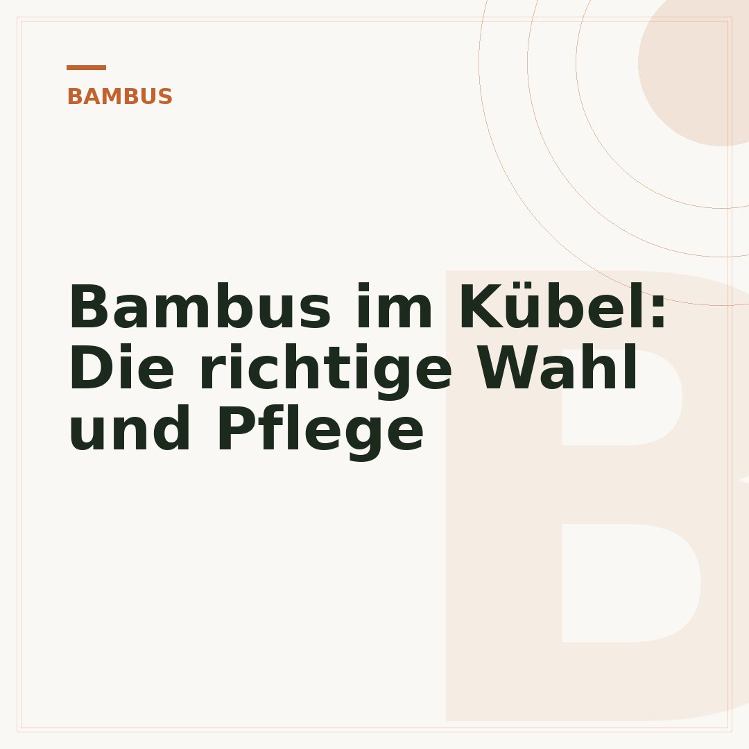 Bambus im Kübel: Die richtige Wahl und Pflege