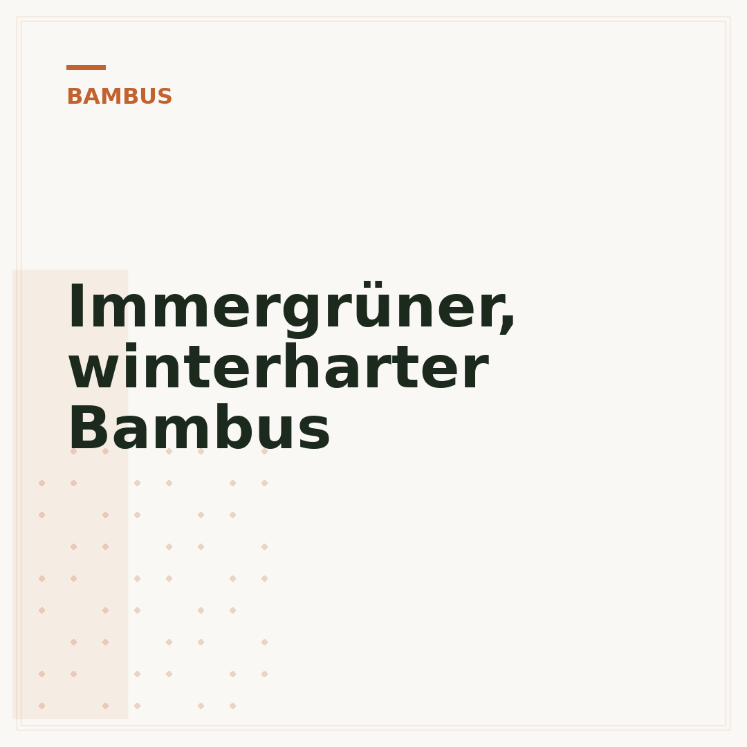 Immergrüner, winterharter Bambus