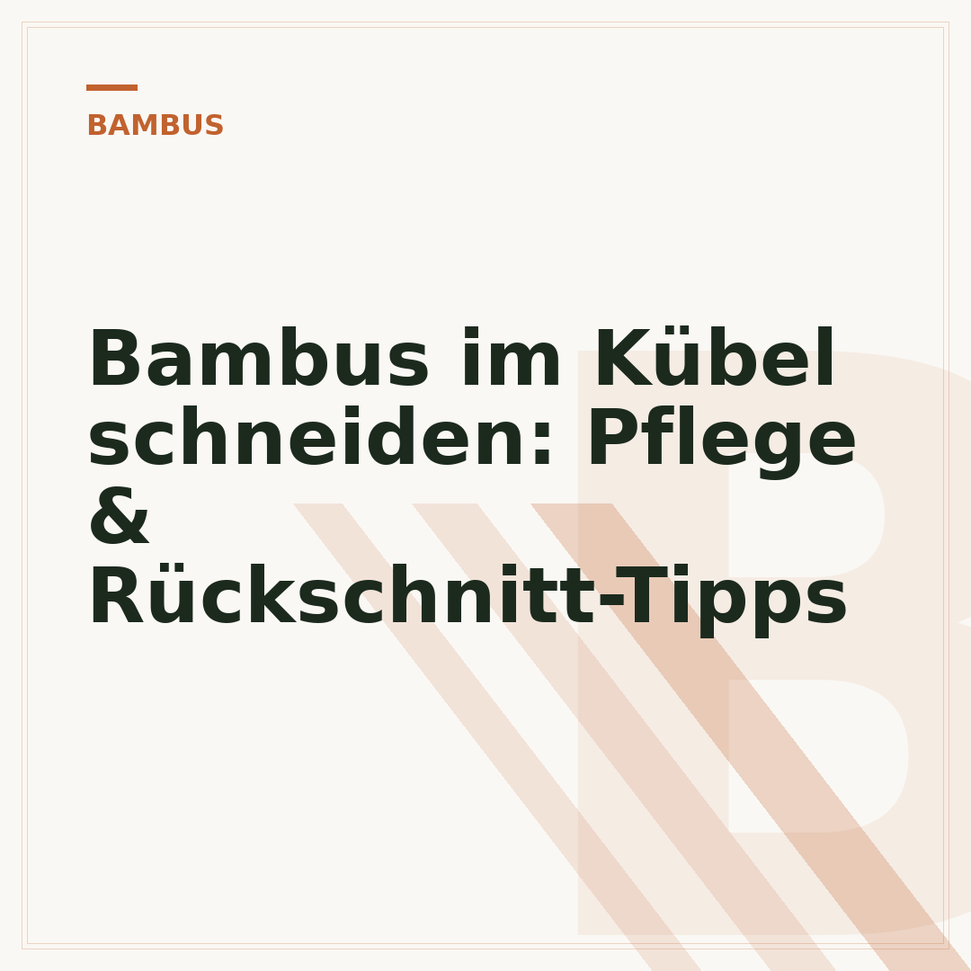 Bambus im Kübel schneiden: Pflege & Rückschnitt-Tipps