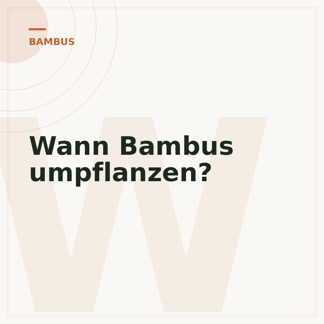 Wann Bambus umpflanzen?