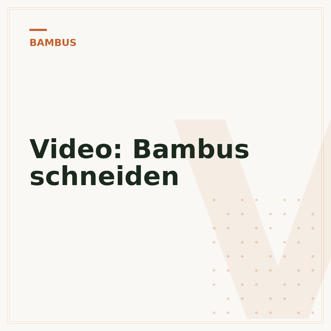 Video: Bambus schneiden