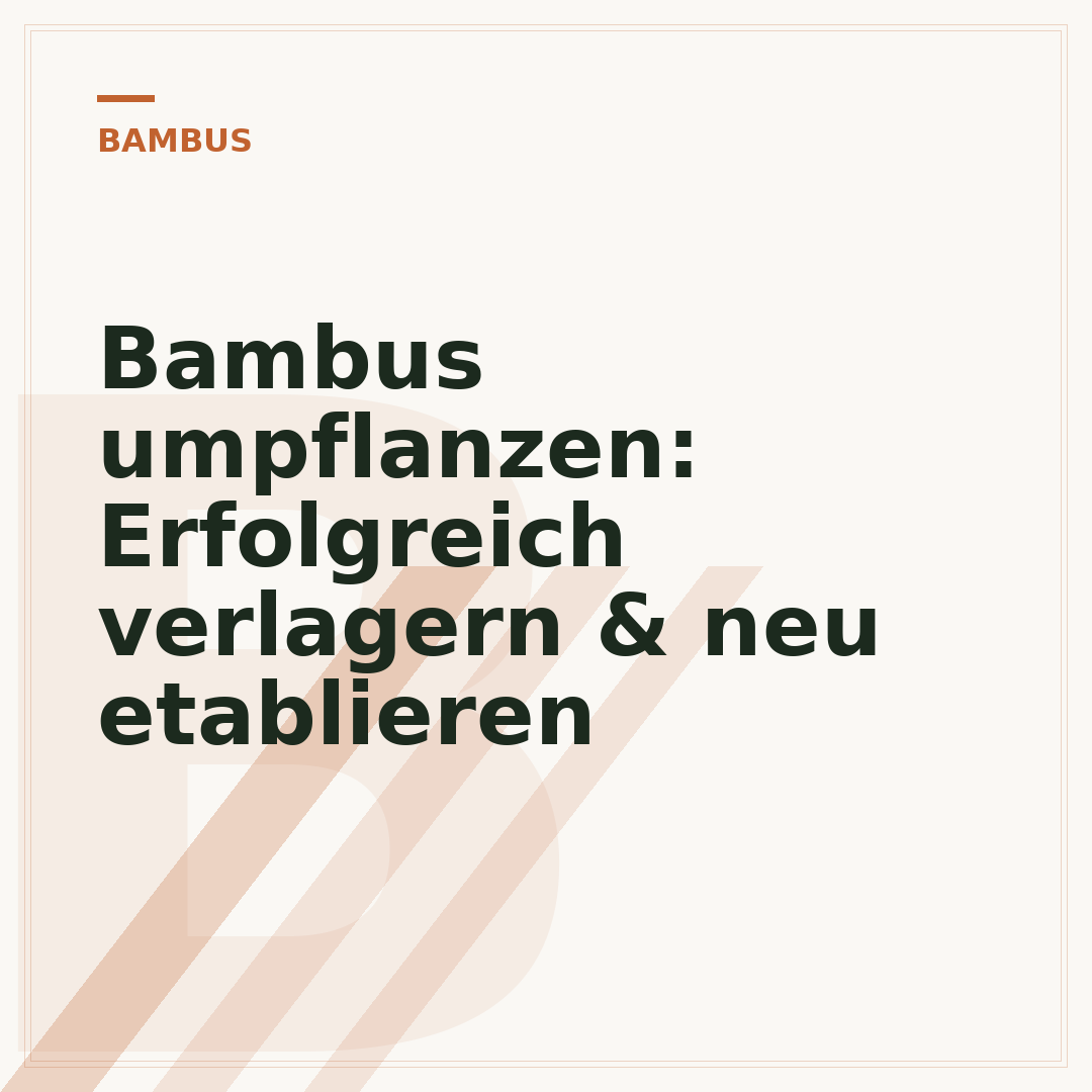 Bambus umpflanzen: Erfolgreich verlagern & neu etablieren
