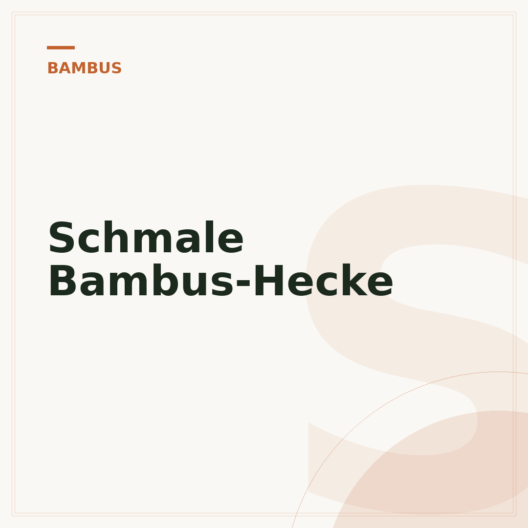 Schmale Bambus-Hecke