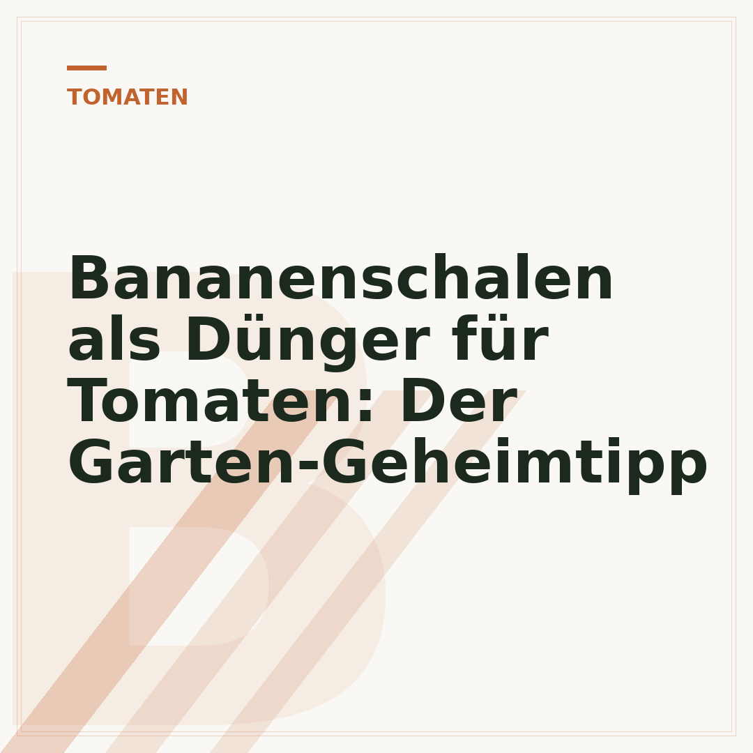 Bananenschalen als Dünger für Tomaten: Der Garten-Geheimtipp