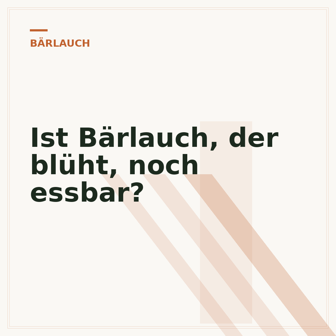 Ist Bärlauch, der blüht, noch essbar?