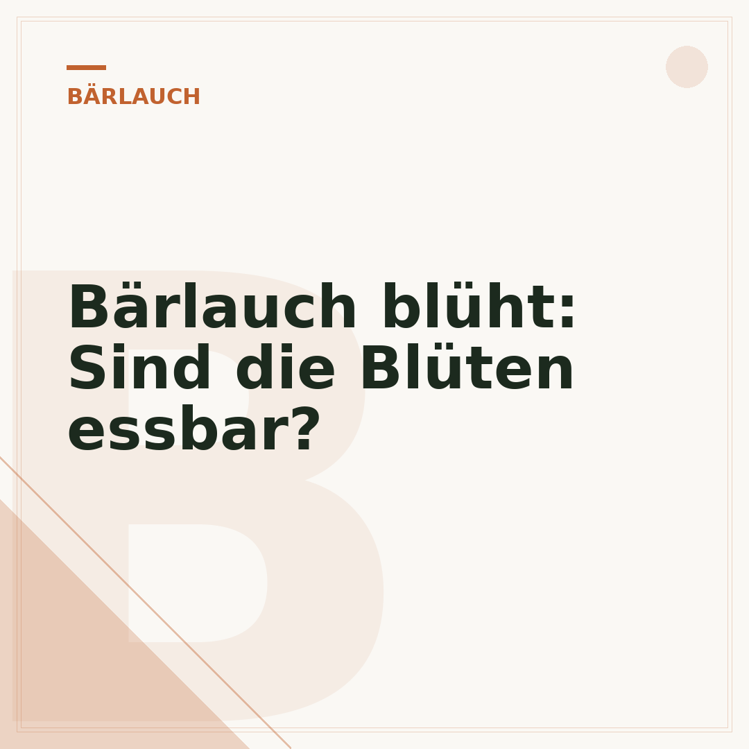 Bärlauch blüht: Sind die Blüten essbar?