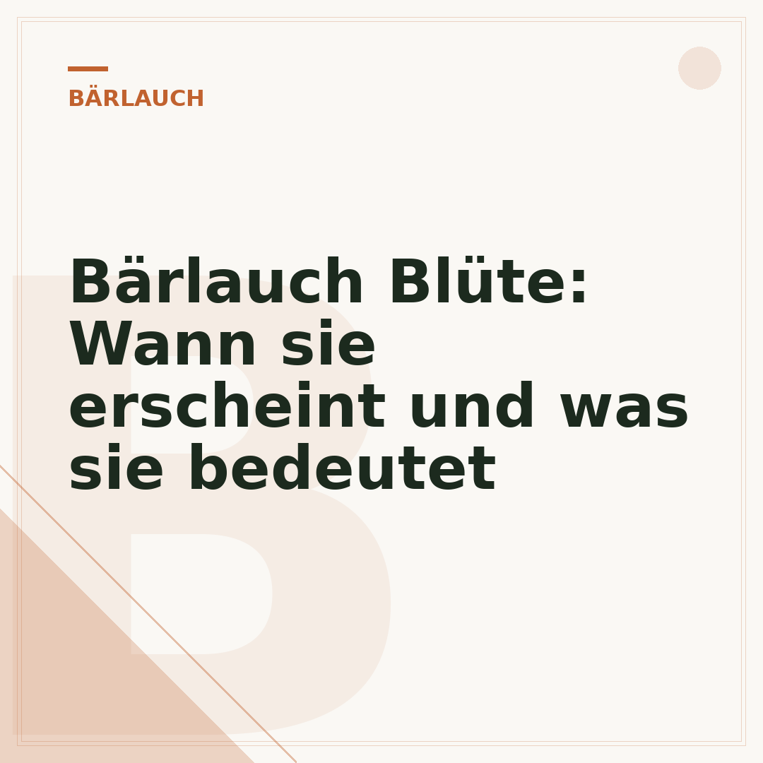 Bärlauch Blüte: Wann sie erscheint und was sie bedeutet