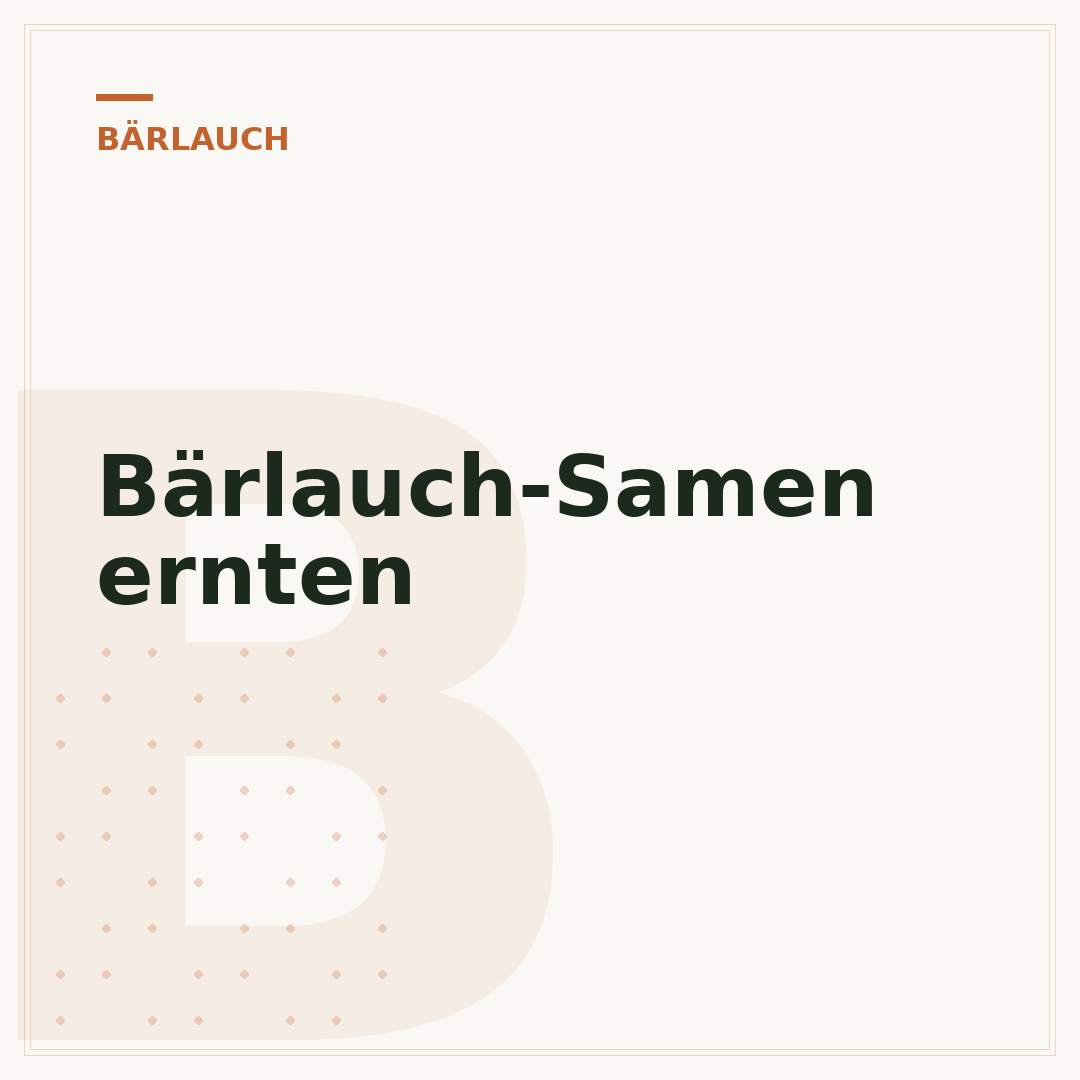 Bärlauch-Samen ernten