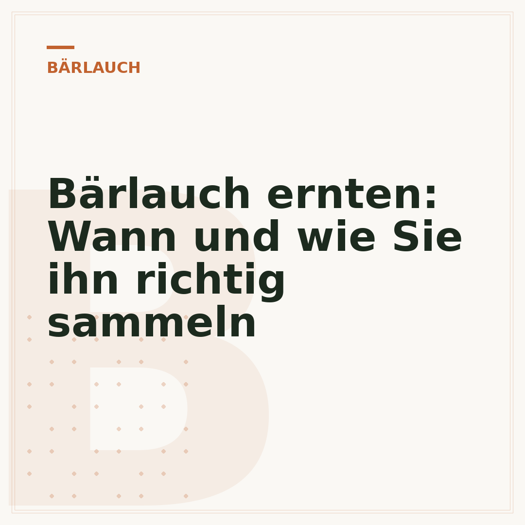 Bärlauch ernten: Wann und wie Sie ihn richtig sammeln