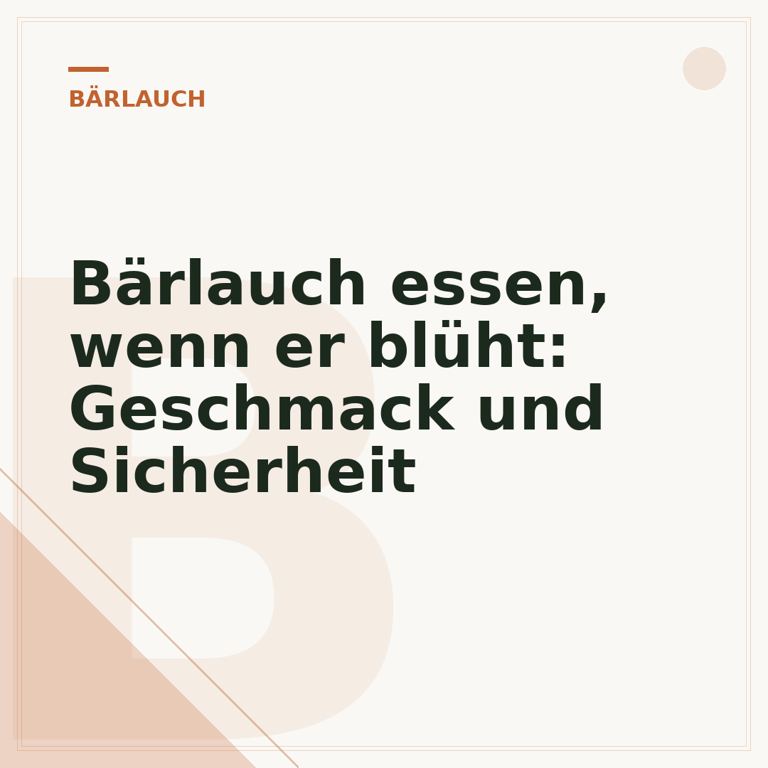 Bärlauch essen, wenn er blüht: Geschmack und Sicherheit